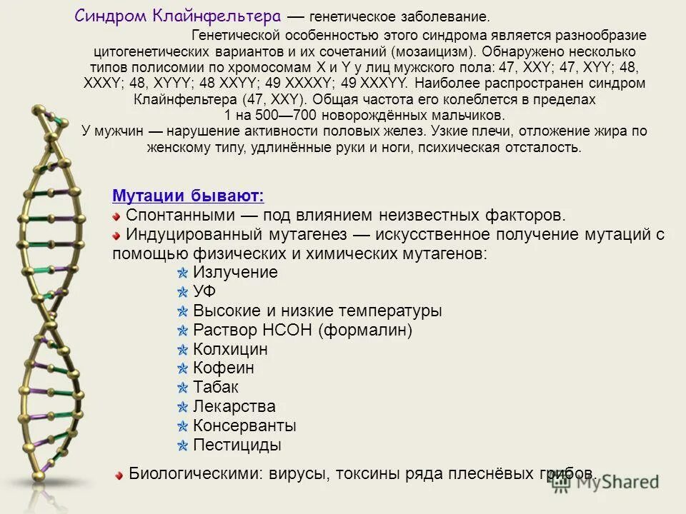 примеры генных патологий протекающих на фоне мозаицизма. мутационная изменчивость (мутации). мутационноеизменчивасть. генные хромосомные и геномные мутации. мутационная изменчивость.