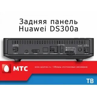 Ds 300