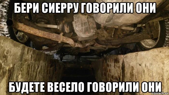 Приходи говорили они будет весело говорили они. Будет легко говорили они. Демотиваторы про отдых на природе. Будет весело говорили они. Ума нет иди в.