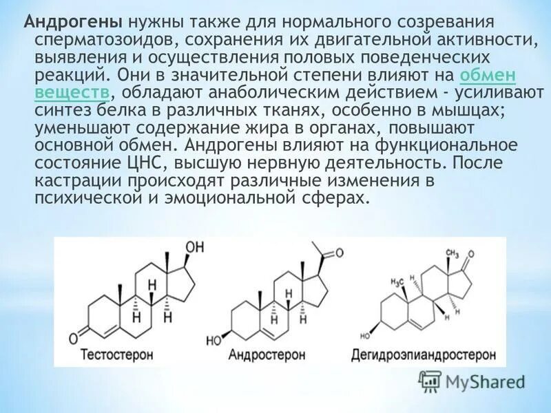 Гормоны у мужчин симптомы