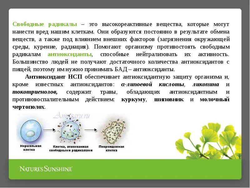 Кожей радикал