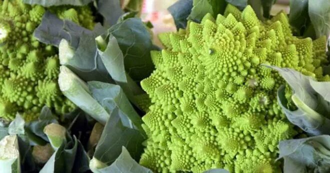 Капуста романеско фото и описание сорта Капуста романеско (Romanesco) это разновидность капусты, которая характеризует