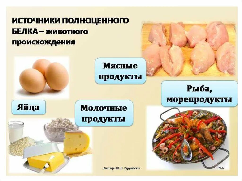 Источник белковых продуктов. Источники полноценного белка. Полноценные белки продукты. Основные источники белков в питании. Продукты источники полноценного белка.