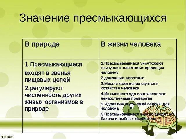 Биология значение 3 класс. Значение пресмыкающихся в природе. значение пресмыкающихся в природе и жизни человека. значение рептилий в природе. пресмыкающиеся значение в природе.