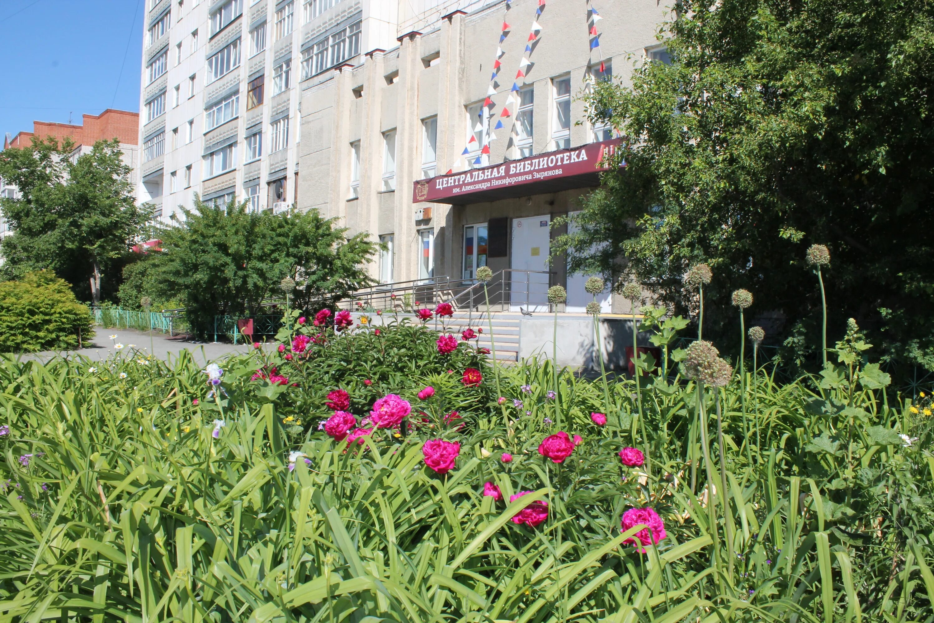 ксения зырянова шадринск. оксана зырянова курган. библиотека зырянова шадринск. зырянова елена анатольевна енисейск. шадринск зырянова.