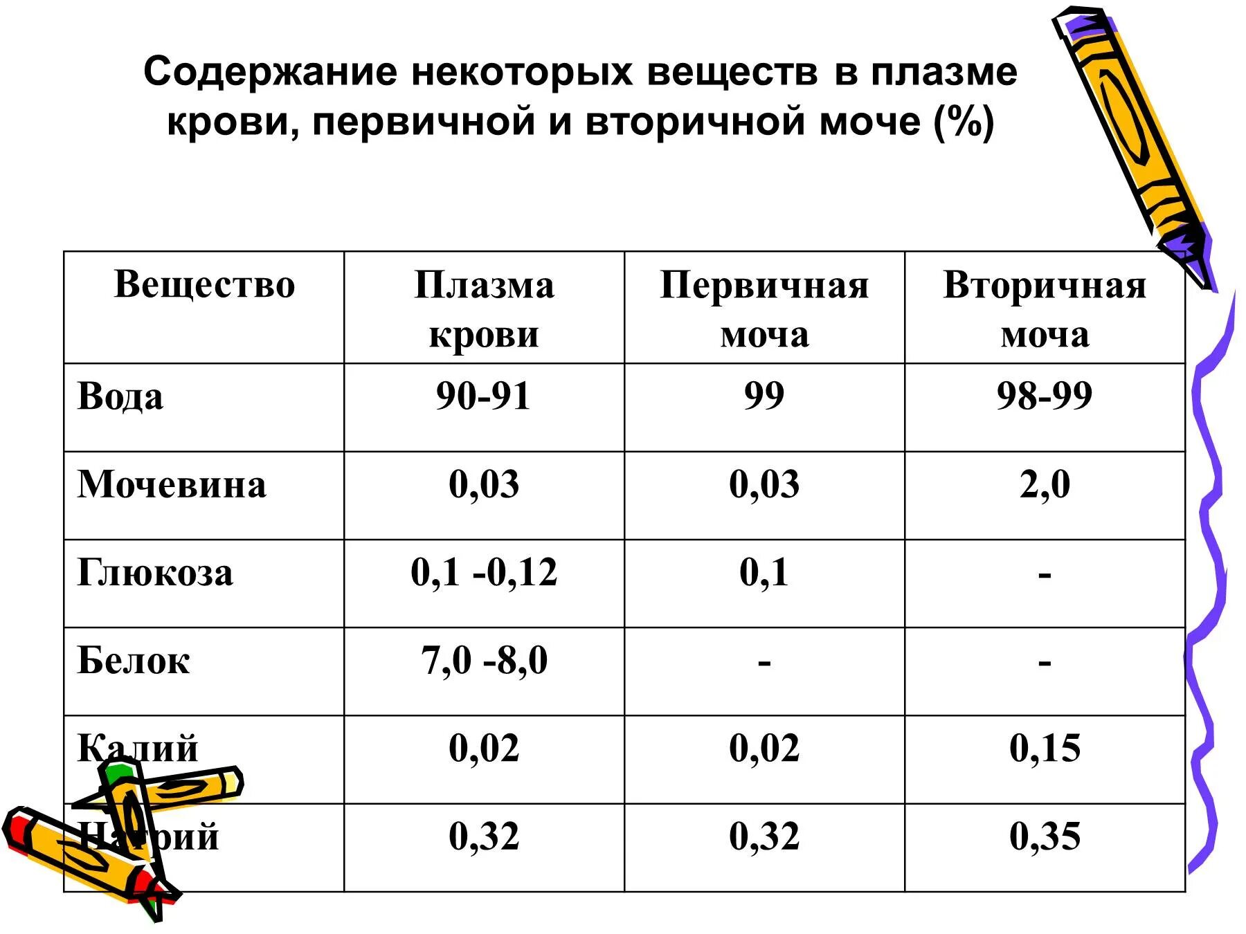 Первичная моча отличается от плазмы крови отсутствием. Содержание веществ в первичной и вторичной моче. Состав и объем первичной мочи. Состав первичной и вторичной мочи таблица. Состав первичной мочи и плазмы крови.