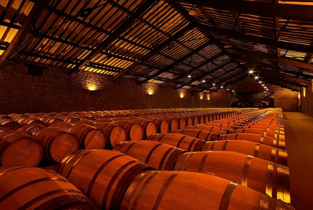 Bodega rioja. Винодельня ла риоха. винные погреба бодегас де наварра. bodegas масло. bodegas vidal extreme.