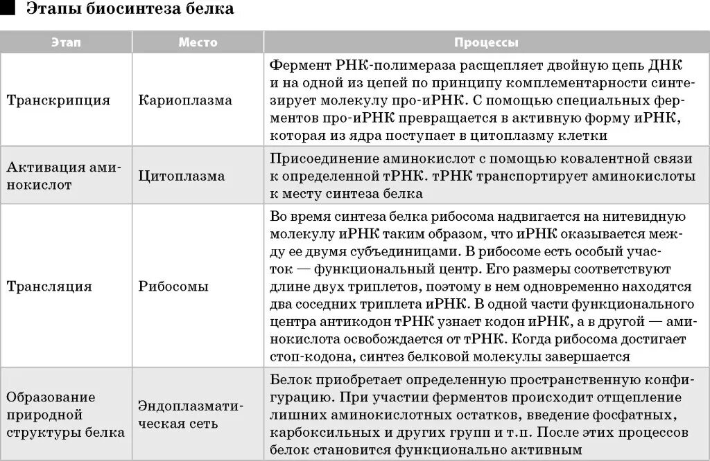 Этапы трансляции биосинтеза. Трансляция и транскрипция в биологии таблица. Биосинтез белка транскрипция и трансляция таблица. Этапы биосинтеза белка таблица. Таблица Биосинтез белка биология 9 класс.