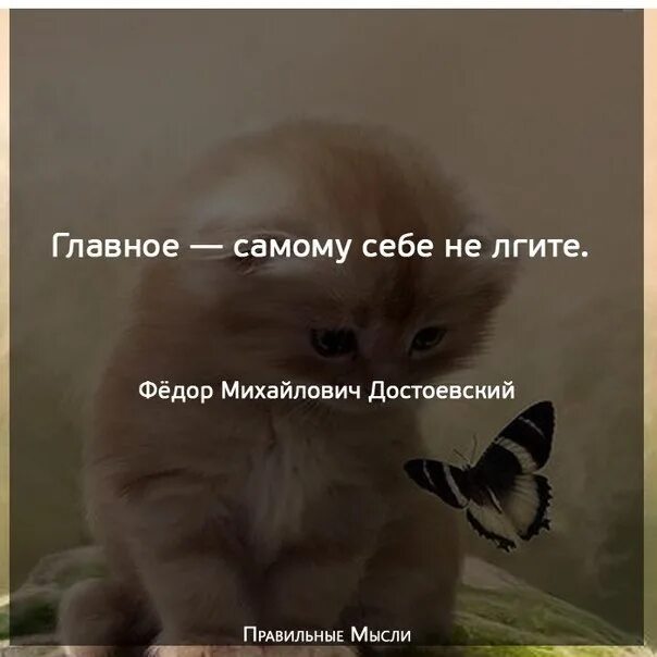 Самому себе не лгите. Главное самому себе не лгите достоевский. главное самуму сеьетне лгите. главное сами себе не лгите.