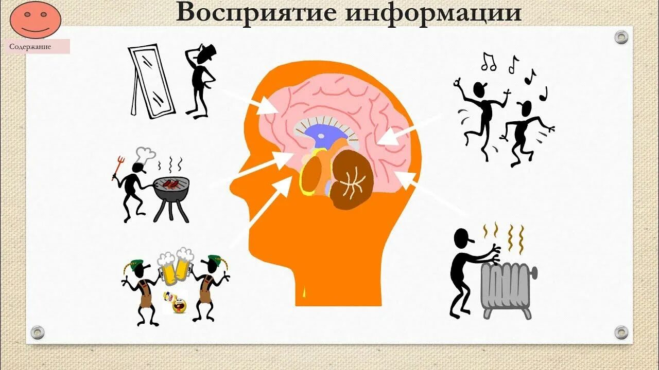 Восприятие и представление информации тест. Восприятие информации. восприятие информации человеком. разное восприятие информации. каналы восприятия информации.
