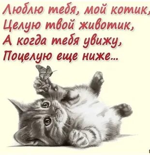 По моему у тебя есть