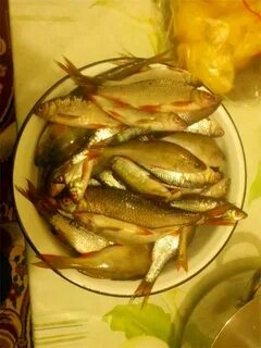Сухой посол плотвы