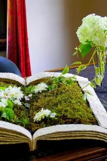 Мир цветов книга