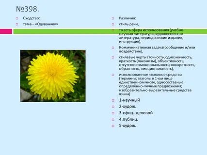 Систематика одуванчика 7 класс