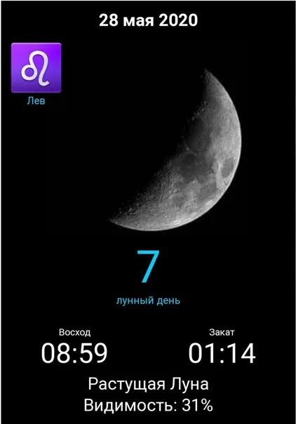 48.757 Lunar phase Görseli, Stok Fotoğraflar ve Vektörler Shutterstock