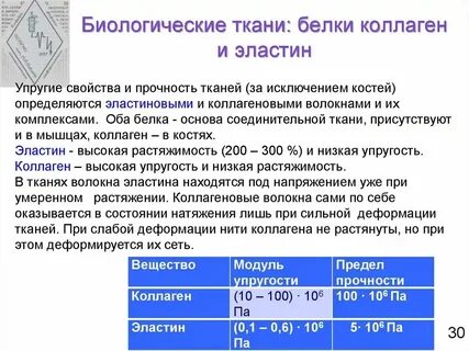 Механические свойства тканей организма