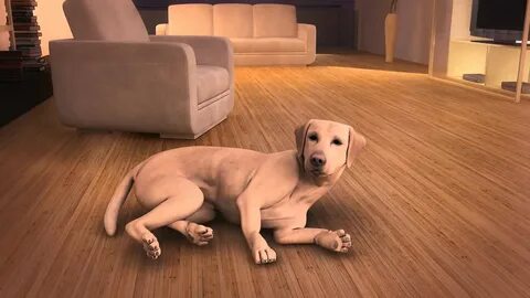 Dog 3d animation