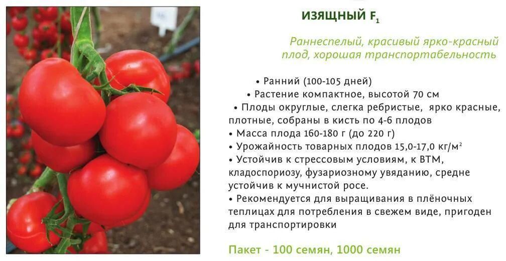 Описание сортов томатов с фото софии сааковой Семена Томат Снегири: описание сорта, фото купить с доставкой или почтой Росси