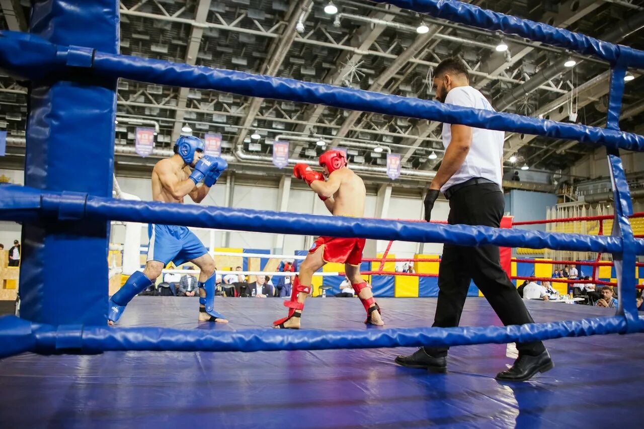 Кик-боксинг или кикбоксинг. Кикбоксинг соревнования. Сайт кикбоксинга. Чемпионы кикбоксинга ульяновска. Кикбоксинг соревнования.