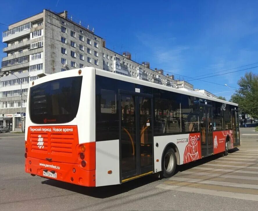 Пермский транспорт. Пермский автобусы волго бас. Новые автобусы пермь. Автобусы пермь. Volgabus пермь.