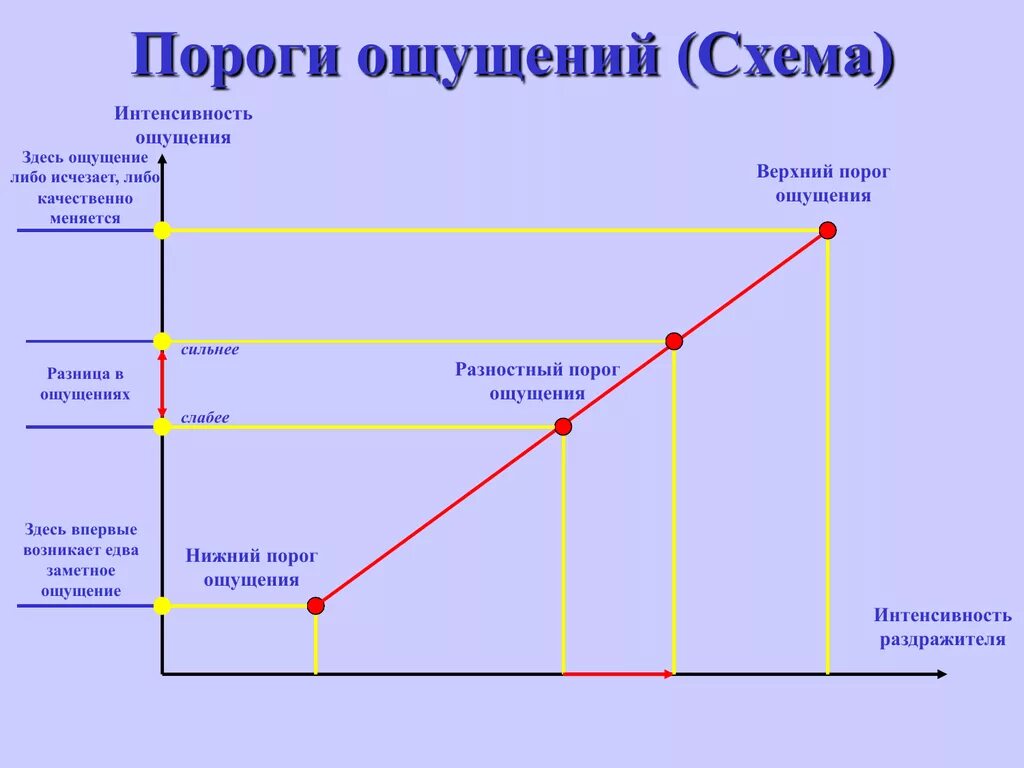 Порог психология. Пример верхнего абсолютного порога чувствительности. Пороги ощущений в ощущениях психология. Верхний порог ощущений это в психологии. Нижний порог ощущений это в психологии.