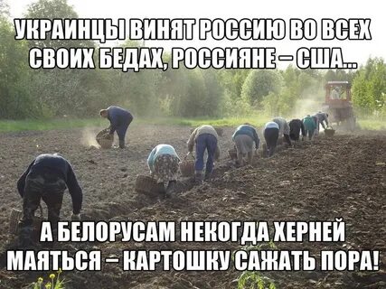 Пора сеять