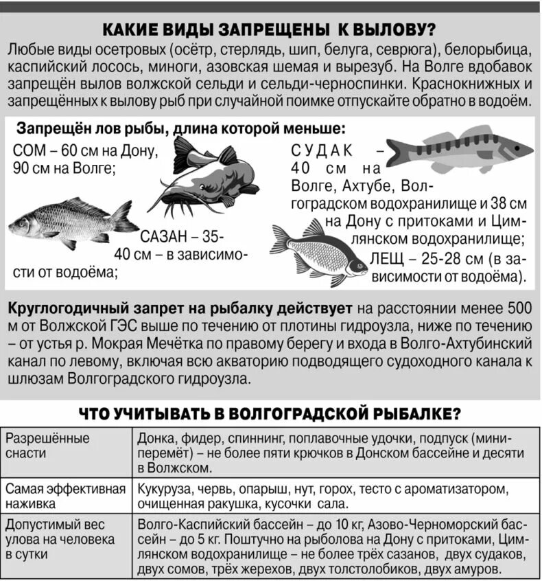 Запрет на рыбалку в 2025. Запрет на рыбалку в 2025