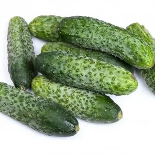 Огурцы сорт монастырский