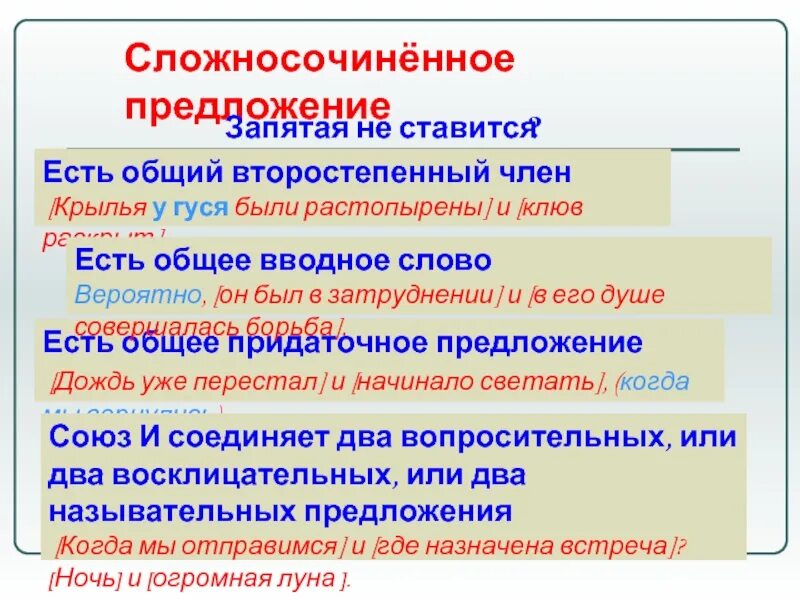 Есть генеральный есть простой. Сложносочиненное предложение с общим второстепенным членом. Общее придаточное предложение в сложносочиненном предложении. Сложносочиненное предложение с общим придаточным.