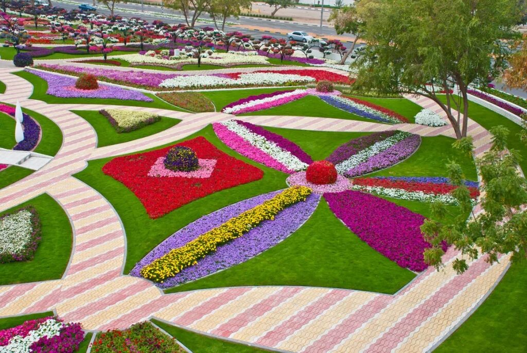фестиваль "цветочный ковер" (flower carpet), брюссель, бельгия. аль-айн). цветочный ковёр. ковер с цветочным принтом. цветочный ковров.