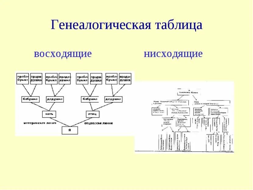 Родовая таблица. Нисходящая родословная таблица. Родовая таблица. Скандинавская мифология генеалогическое древо. Генеалогическая таблица.