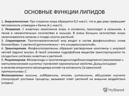 Связь обмена углеводов липидов и белков