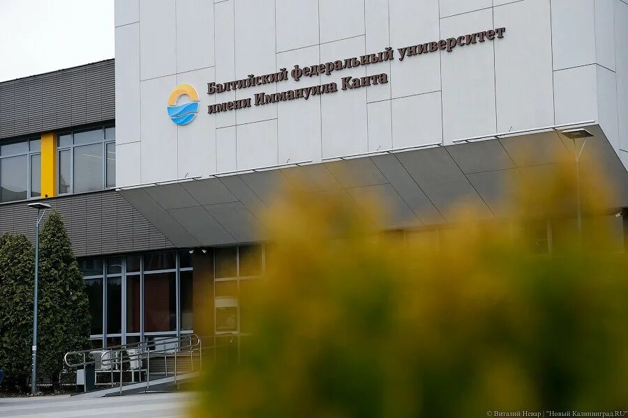 Университет имени канта калининград. Университет им канта калининград. Калининград бфк имени канта корпуса. Бфу калининград. Предметы бфу.
