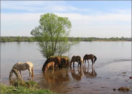 Водопое река