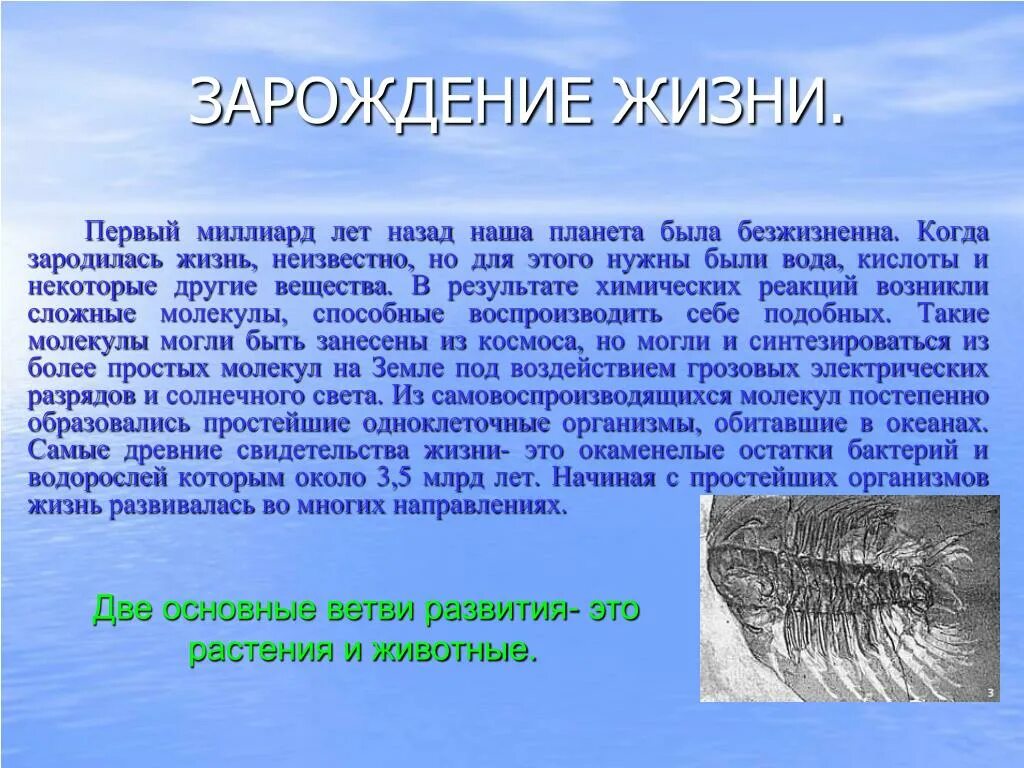 Где на земле появились первые живые организмы. Жизнь на земле рассказ. Когал заролилась жизнь. Сообщение о жизни на земле. Жизнь на земле зародилась.