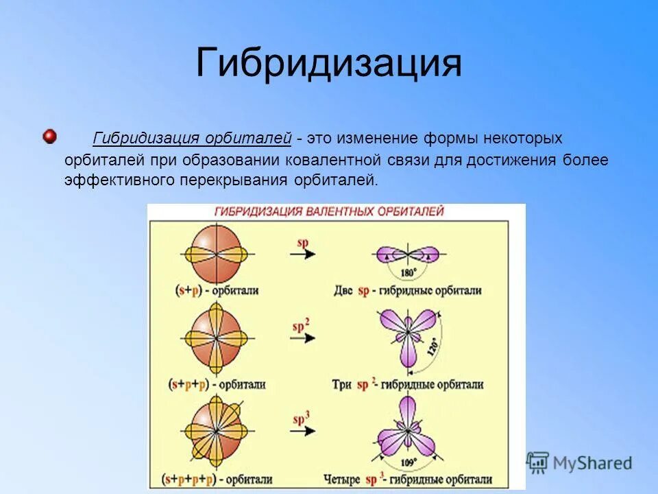 Образование гибридов