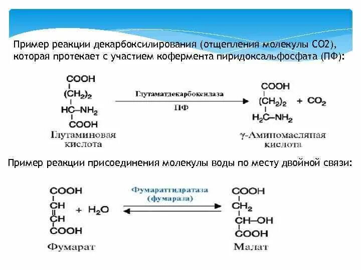 Реакция отщепления молекулы. Ферментативные реакции примеры. Реакции с участием пиридоксальфосфата. Пиридоксальфосфат участие в реакциях. Реакции с коферментом ПФ.