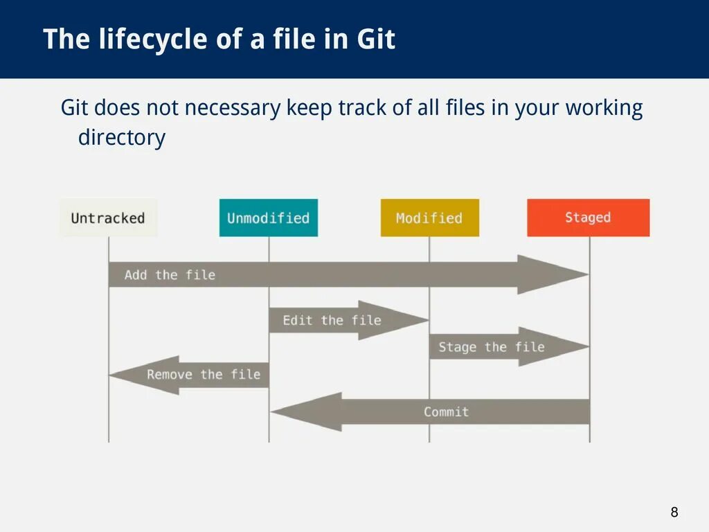 Git client. Git уроки. Git Lifecycle. Introduction of git. Пример работы в git.