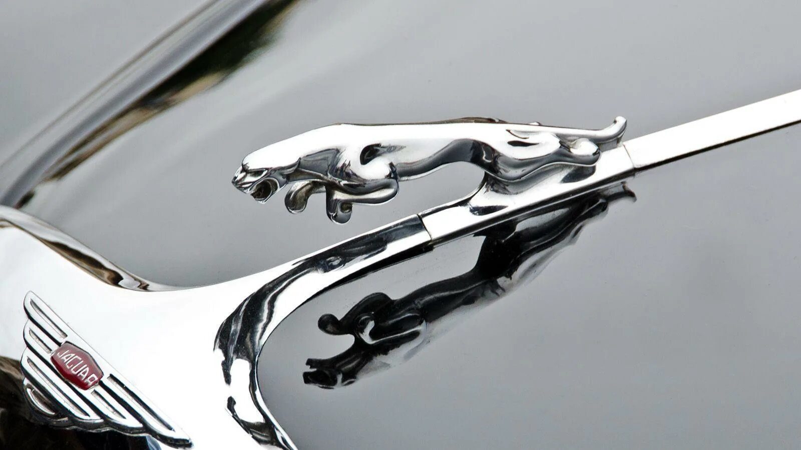 Значок на капоте. Jaguar auto logo. Jaguar шильд на капот. Ягуар машина значок фото. Ягуар на капоте.