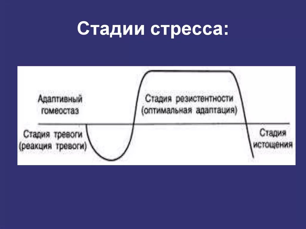 Стадии стресса. Стадии стресса в психологии. Стадии формирования стресса. Фазы стресса.