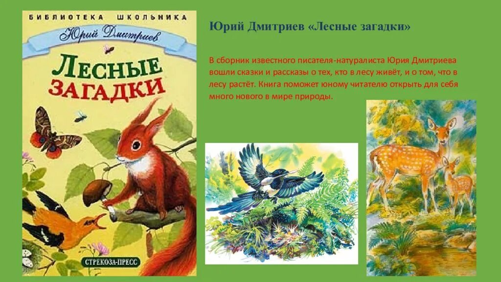 Книги о животных и птицах.