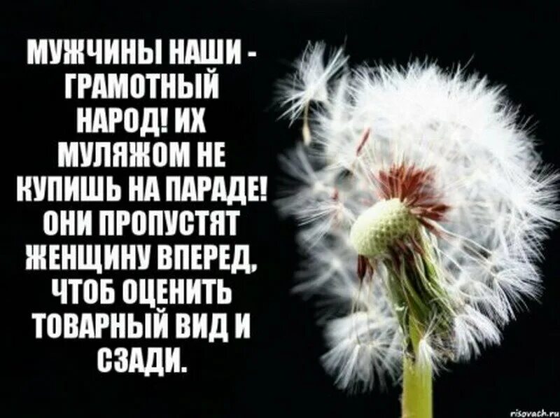 Красивые стихи девушке для поднятия настроения. Стихи о хорошем настроении. Пожелания накаждыц день. Стихи про настроение короткие. Стихи для настроения.