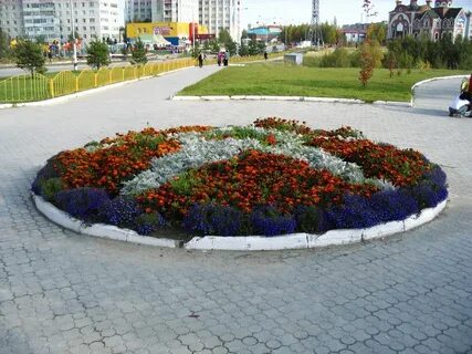 Цветы мегион