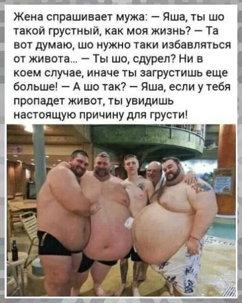 Рассказы живот. Живот растет а хвостик сохнет.