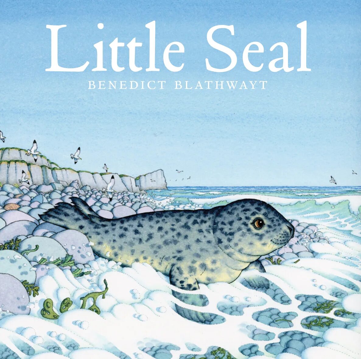 The little seal is laughing at us. Little Seal. Seals книги. A little Seal перевод. Little Seal story.