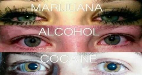 Have a high eyes