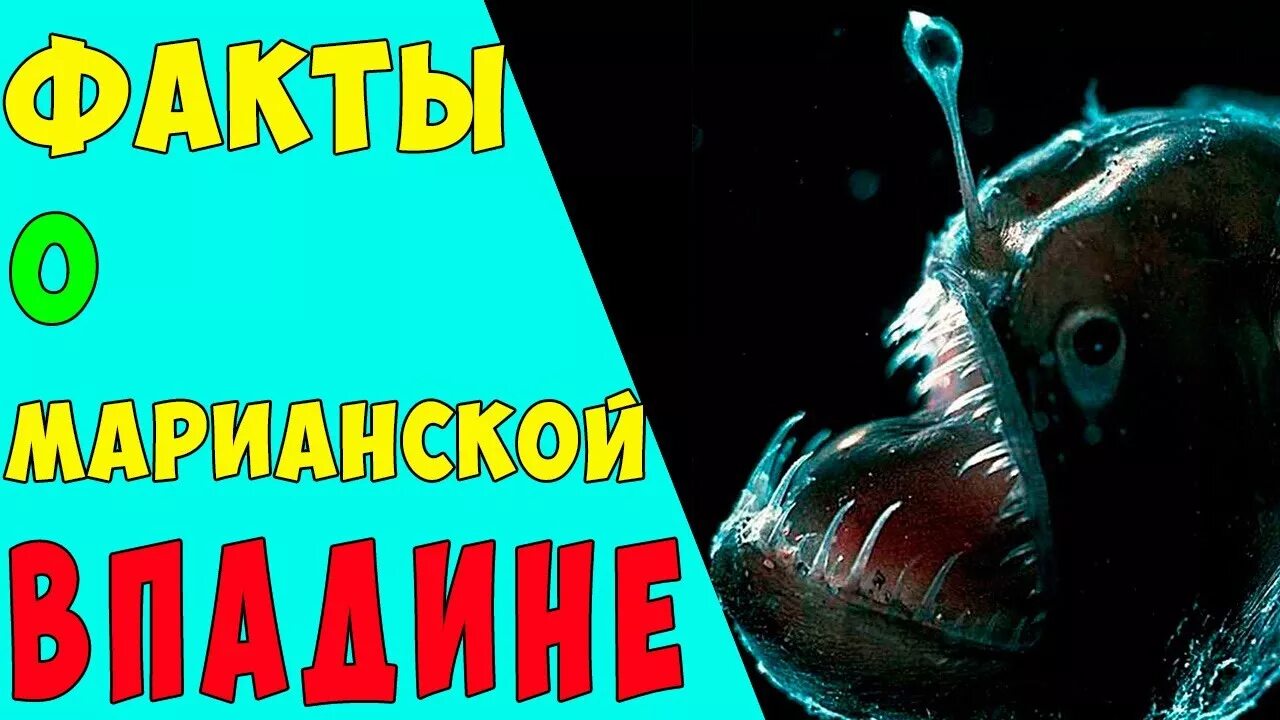 Факты о марианской впадине. Первые в марианской впадине. Марианская впадина и человек. Марианская впадина глубина погружение. Рыба топорик марианская впадина.