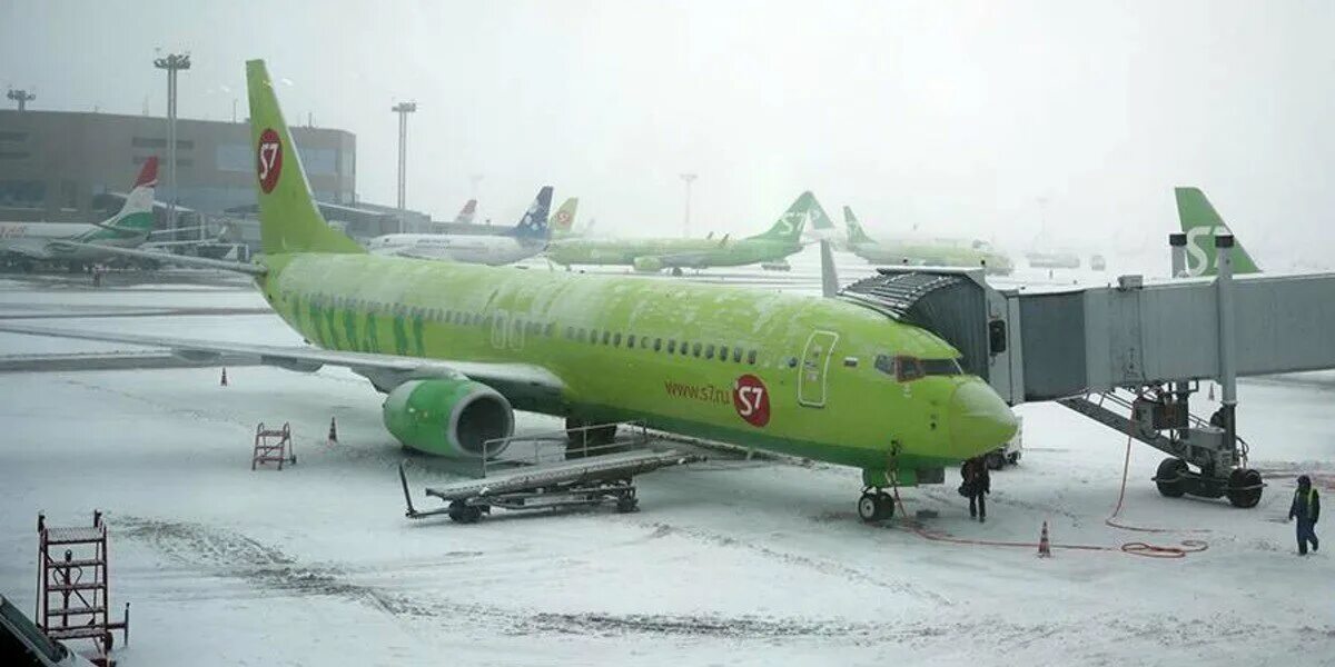 Толмачево аэропорт s7 airlines. Самолеты s7 домодедово. Аэропорт домодедово s7. Самолеты s7 airlines новосибирск. Самолёт s7 airlines домодедово.