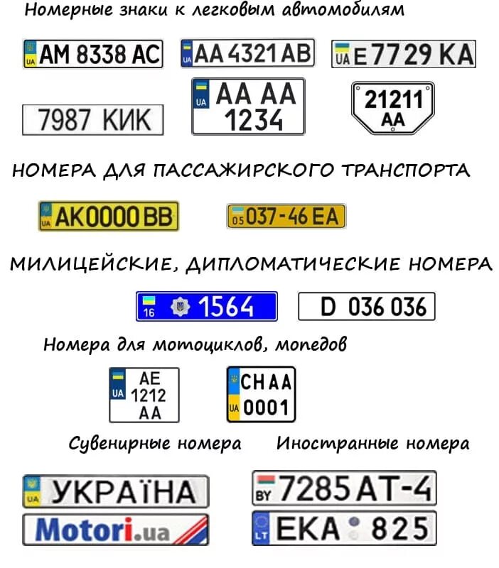 Номер украины пример. Номерной знак. Автомобильные номера. Белорусские автономера. Украинский номерной знак автомобиля.