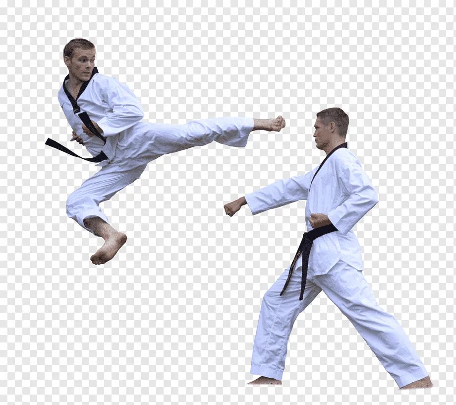 Taekwondo Karate. Каратэ дети. Тхэквондо ИТФ. Каратэ на прозрачном фоне.